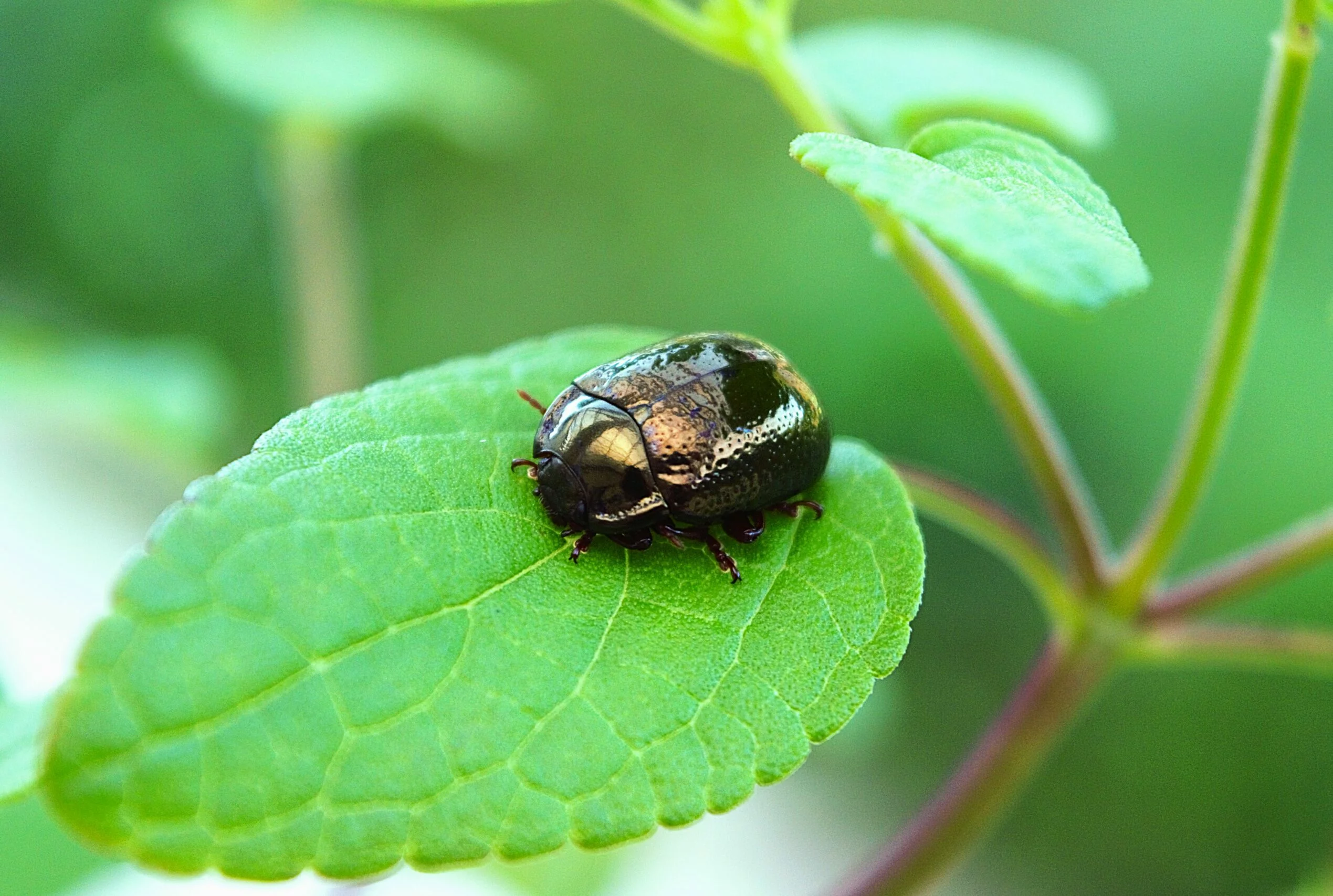 Séance du 25 septembre 2025