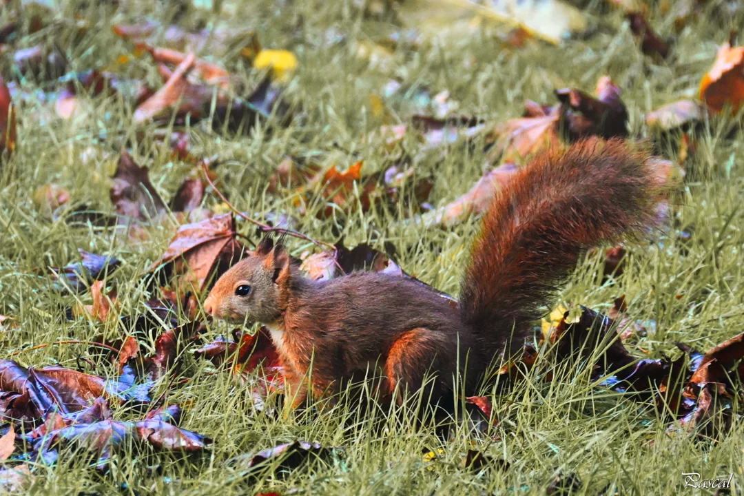Séance du 6 novembre 2025