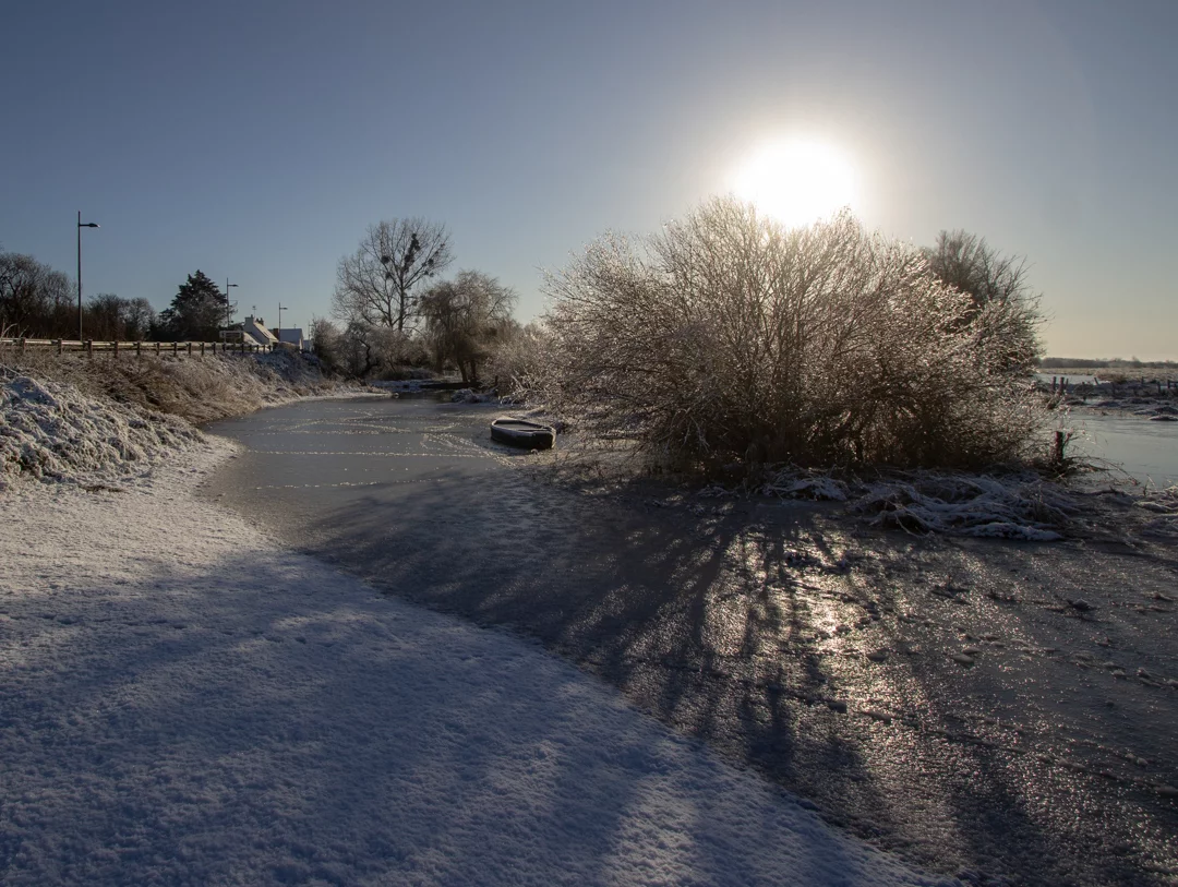 Séance du 29 janvier 2026